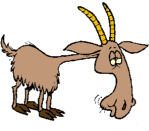 aahillbilly-goat.gif