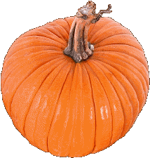 zucca-pumpkin.gif
