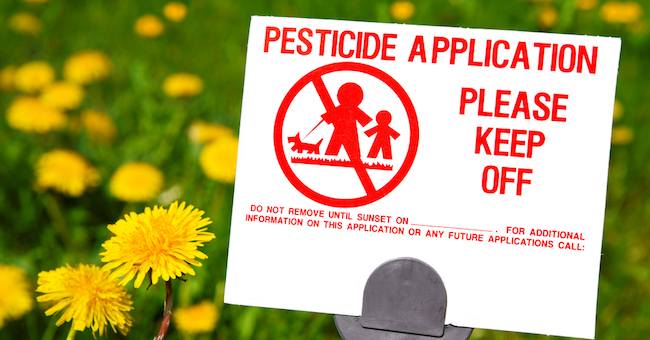 Corso di Nutrizione: pesticidi nel piatto