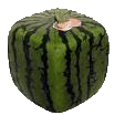 aasquare-melons.gif