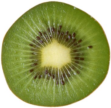 kiwi.gif