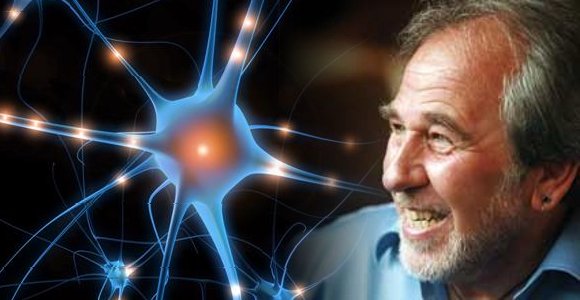 Bruce Lipton