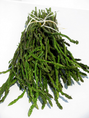 asparagi selvatici