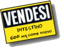 vendesi-intestino