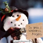 frosty_autodifesalimentare_