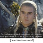 lord-of-the-rings-legolas-autodifesalimentare_it_400