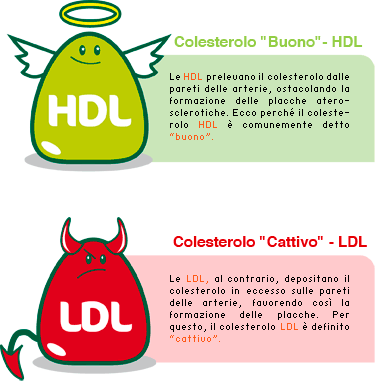 colesterolo LDL colesterolo HDL