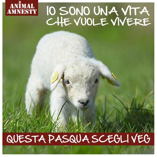 Menù di Pasqua cruelty free