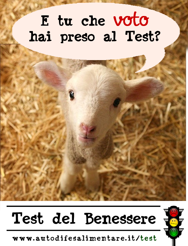 Hai fatto il Test su www.autodifesalimentare.it/test?