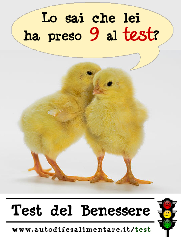 Hai fatto il Test su www.autodifesalimentare.it/test?