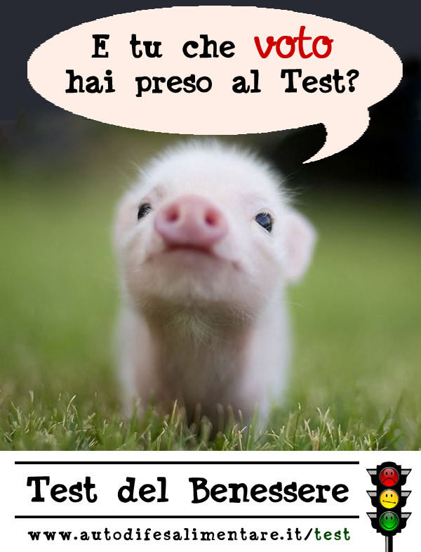 Hai fatto il Test su www.autodifesalimentare.it/test?