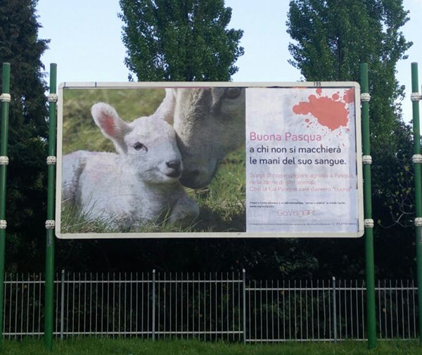 Gesù mangiava l'Agnello?